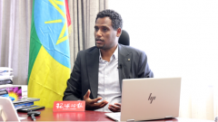 埃塞俄比亚联邦职业