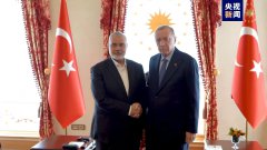 土耳其总统与哈马斯
